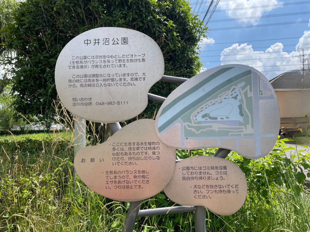 中井沼公園 吉川