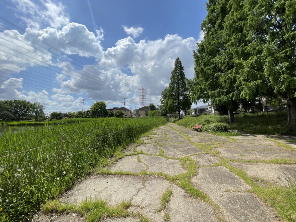 中井沼公園 吉川