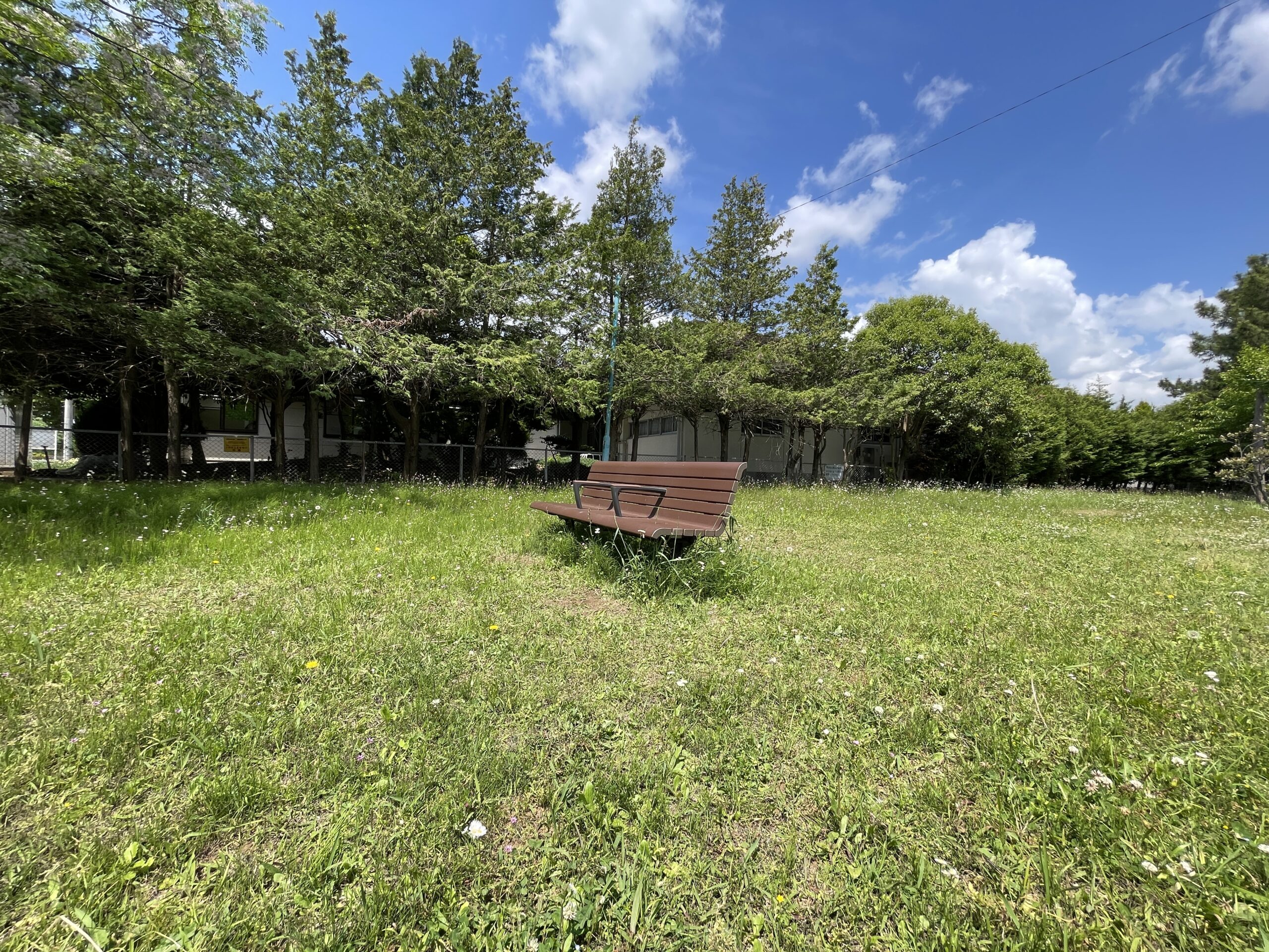 ネオポリス第2公園（吉川市）｜草と野花が生い茂る静かすぎる公園