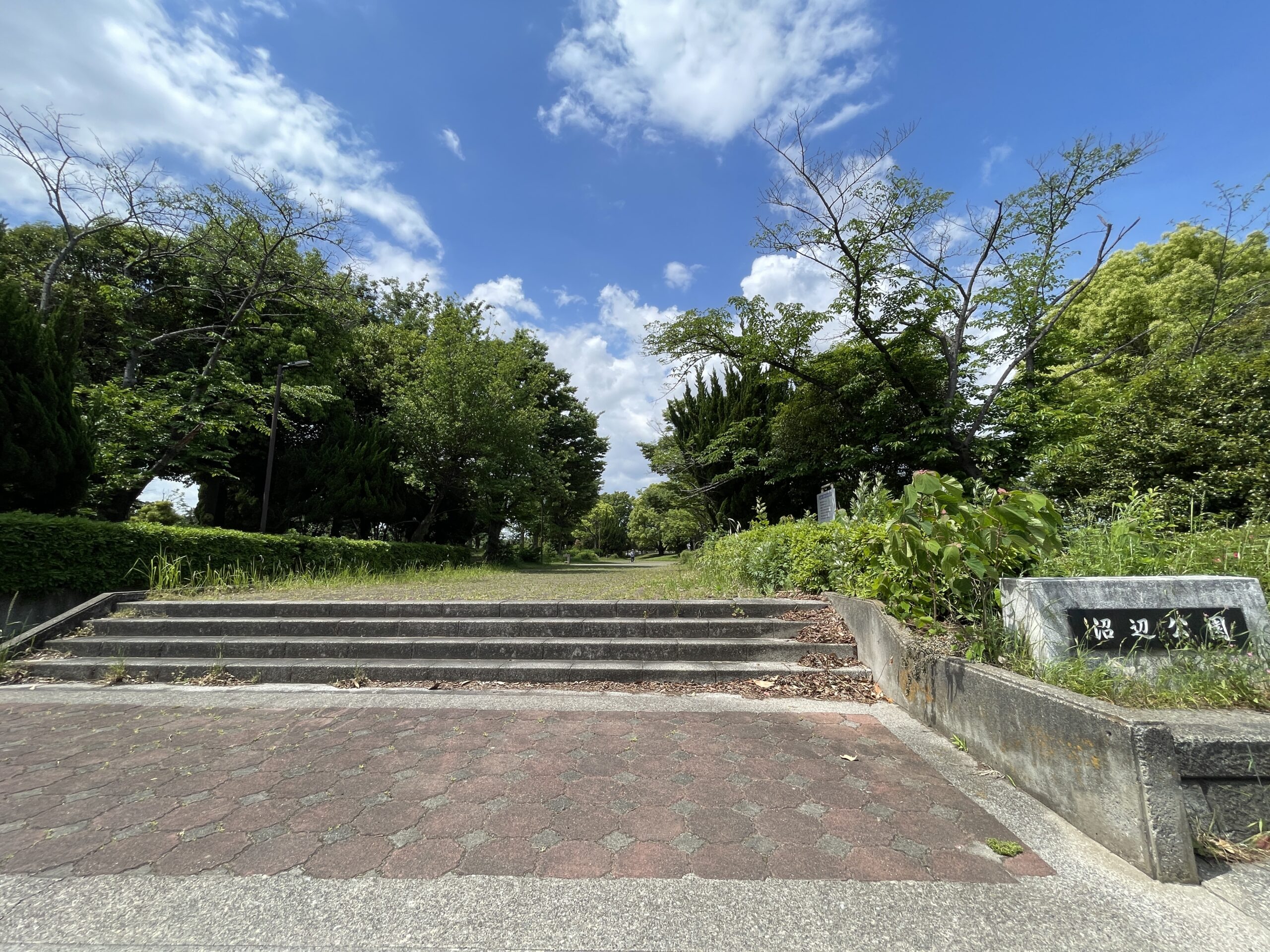 沼辺公園（吉川市）｜ターザンロープ・ザイルクライミングがある、遊具充実の大型公園