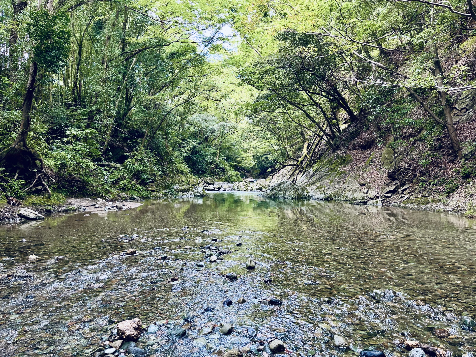 ときがわ町の住みやすさは？天然氷スケートリンク・木の学校・移住支援を解説