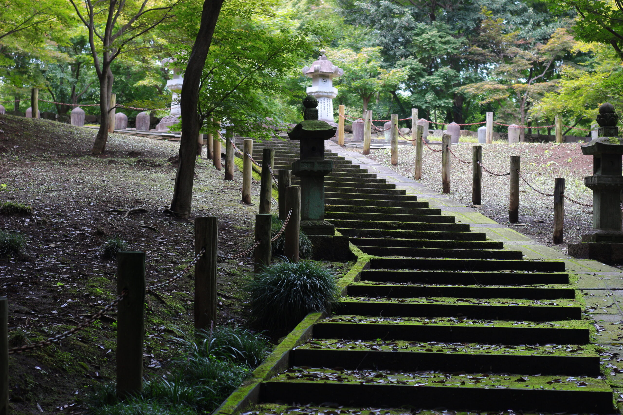 新座市の住みやすさは？平林寺・文教地区・治安・3路線の利便性を徹底解説