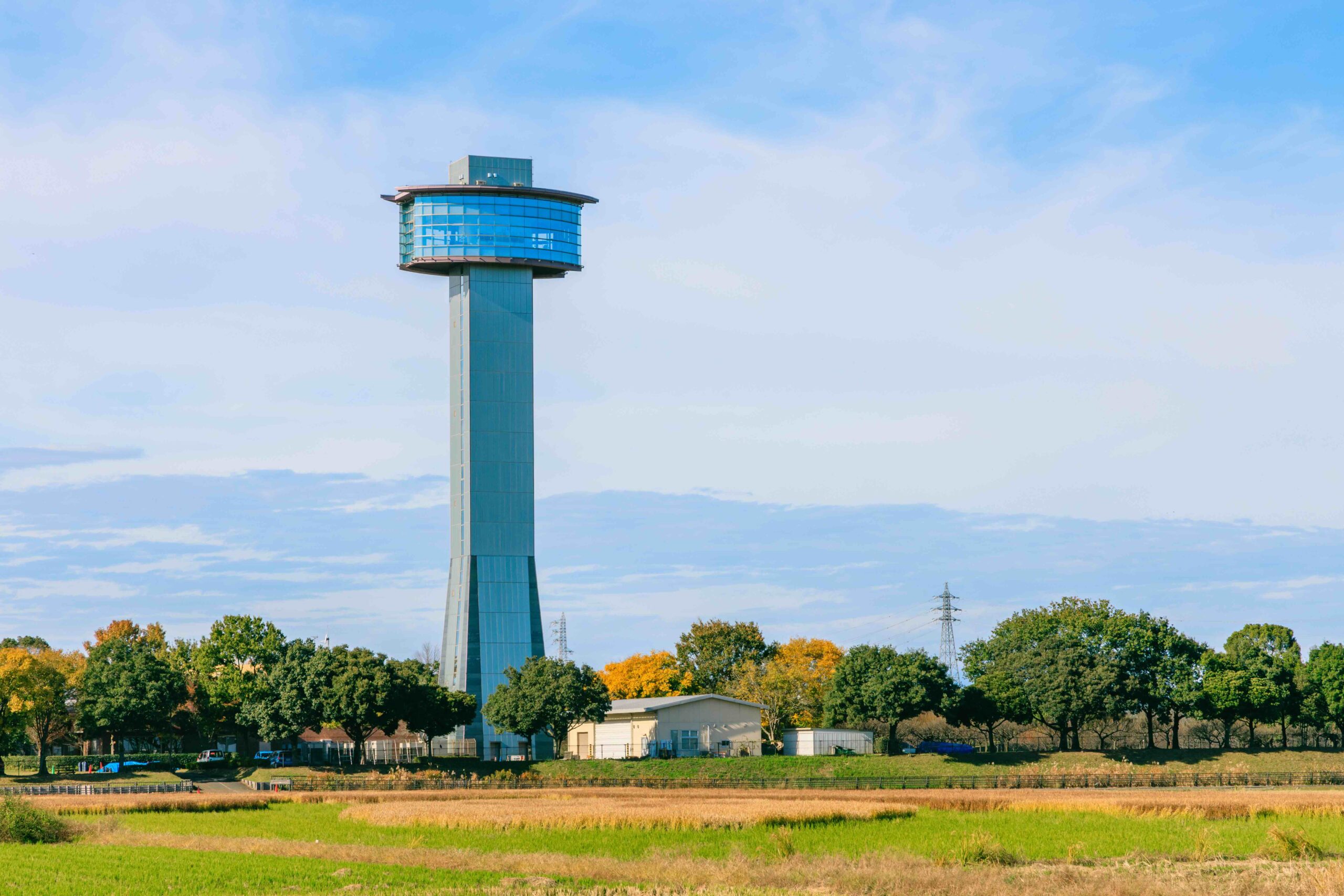 行田市の人口は？人口推移・年齢別割合・人口密度を解説