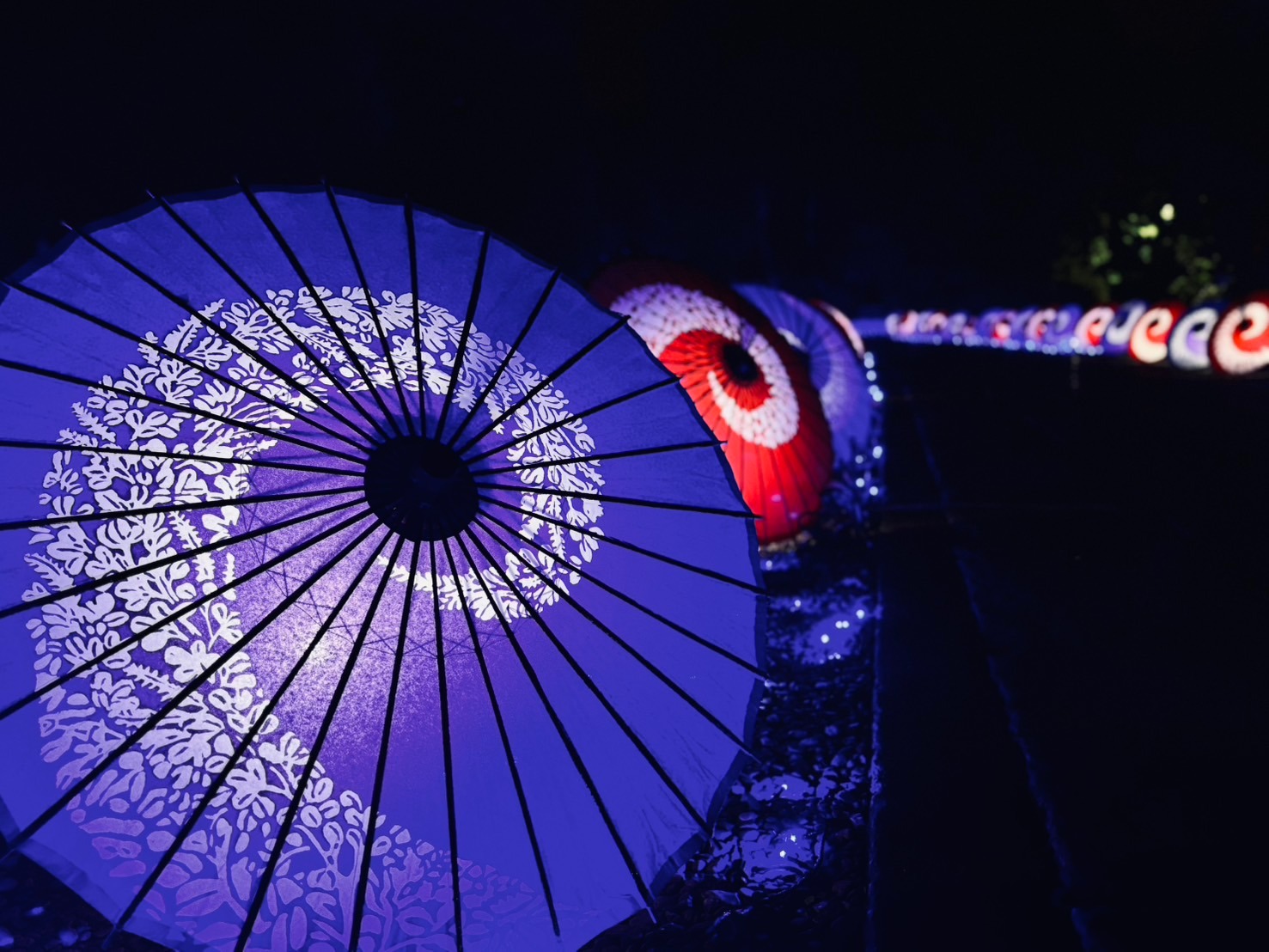 #PR 氷川神社が光の回廊に変わる4日間。「和傘の杜〜彩の七夕2026〜」7月4日開幕