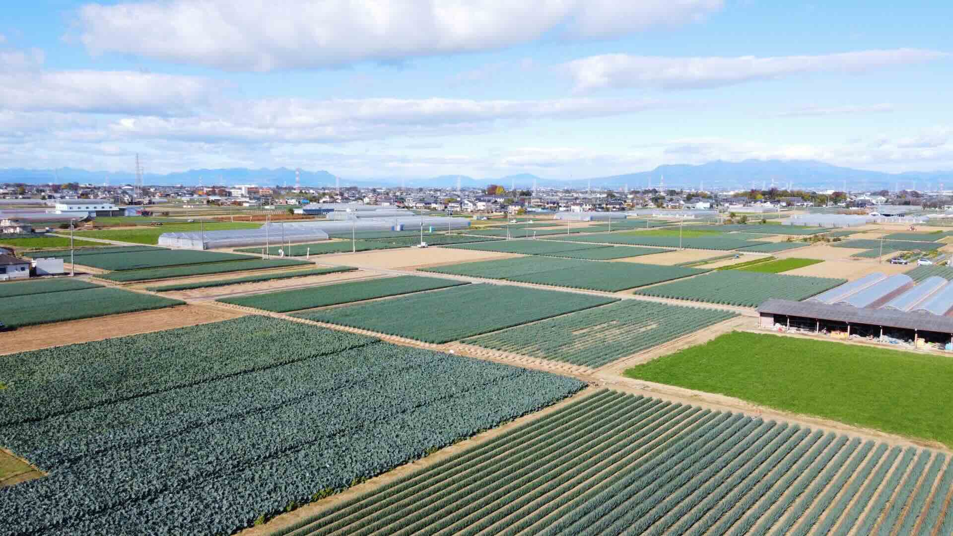 深谷市の人口は？人口推移・年齢別割合・人口密度を解説