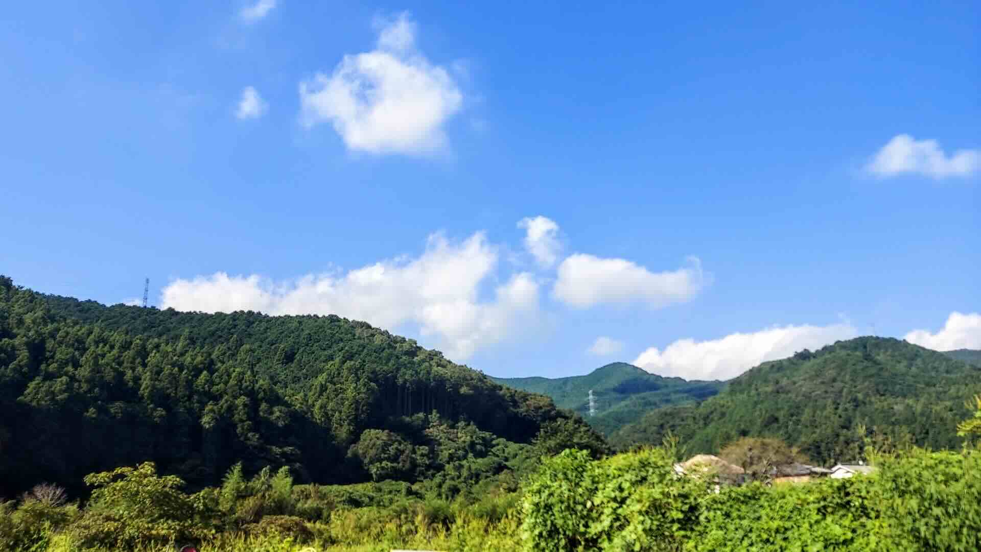 東秩父村の人口は?人口推移・年齢別割合・人口密度を解説