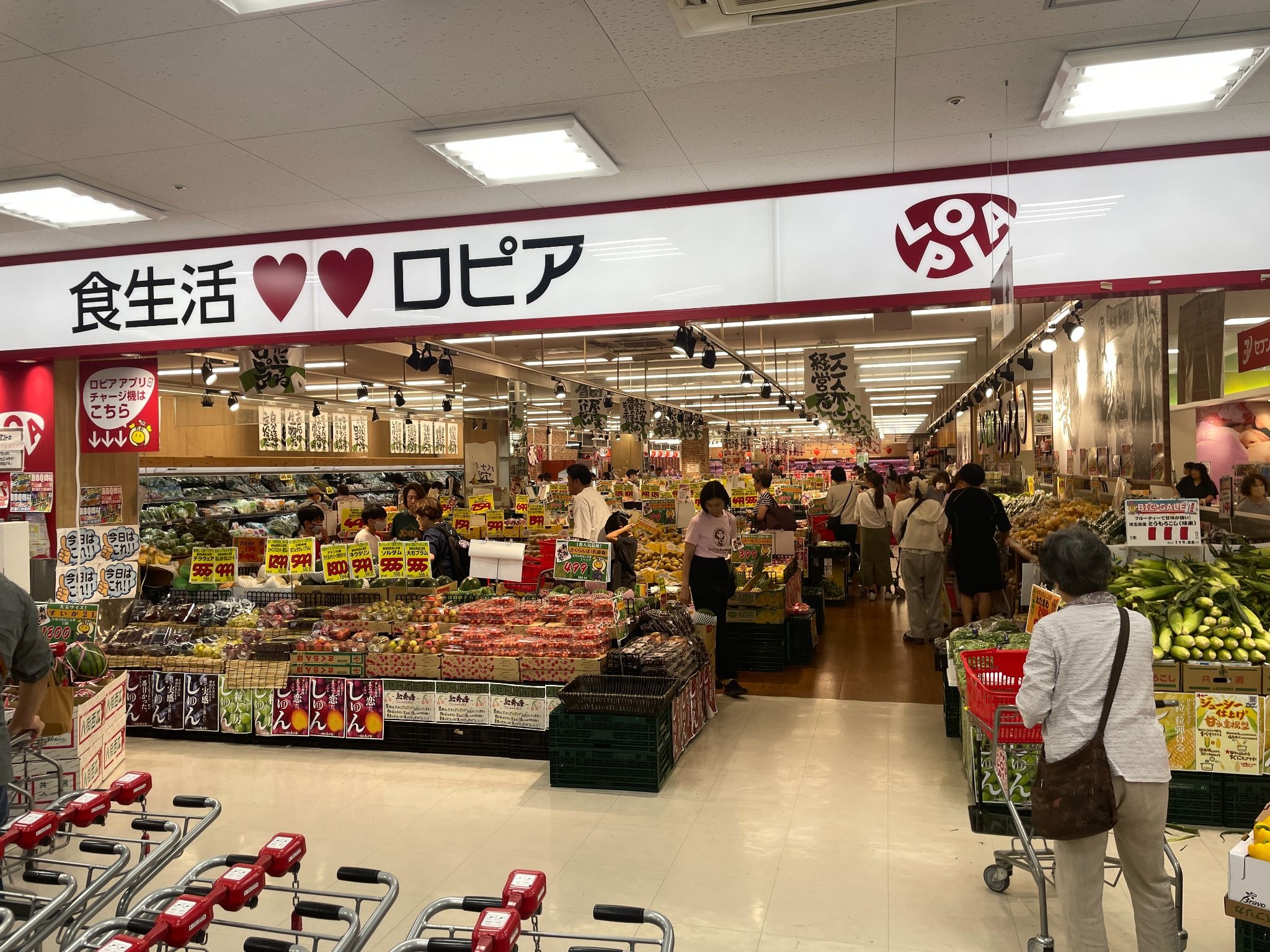 ロピア 草加セーモンプラザ店に行ってきた。コストコ超えの品揃えと安さの正体