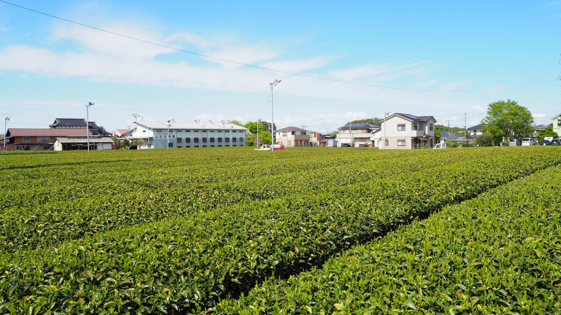 狭山市の人口は？人口推移・年齢別割合・人口密度を解説